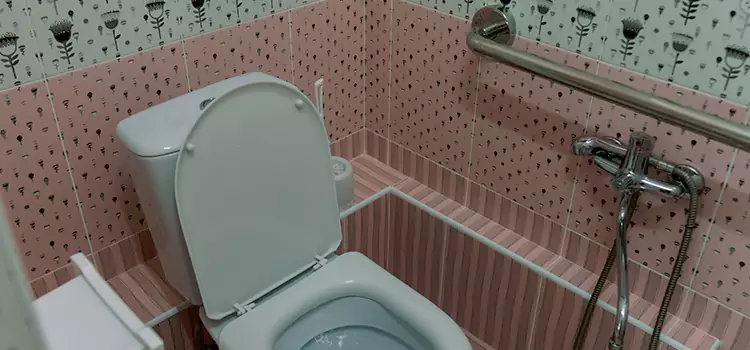 Meeting Diverse Needs With Accessible Restroom Solutions in Golden Valley, MN